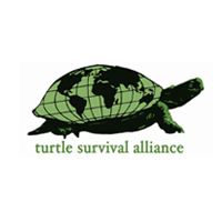 Turtle Survival Alliance