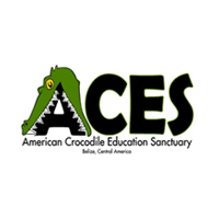 ACES logo