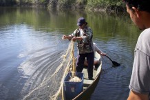 Setting a net