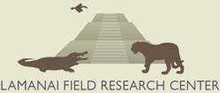 Lamanai Field Research Center logo